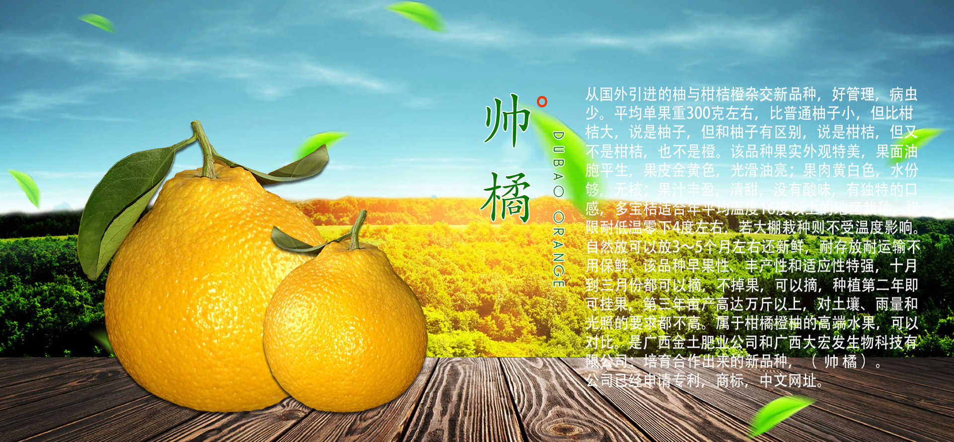 廣西金土肥業(yè)有限公司